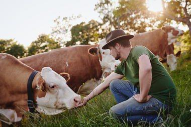 Mann mit Kühen | © Bioernte Steiermark_Königshofer