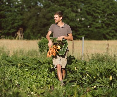 Mann bei Ernte | © Liebentritt Mann bei Ernte | © Liebentritt