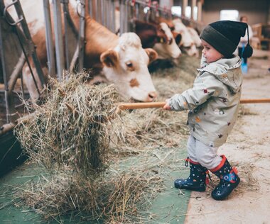 Kidner helfen im Stall | © Urlaub am Bauernhof / Daniel Gollner