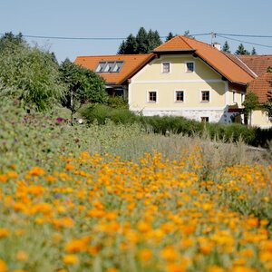 Außenansicht Hof | © Urlaub am Bauernhof Oberösterrreich / Daniel Gollner